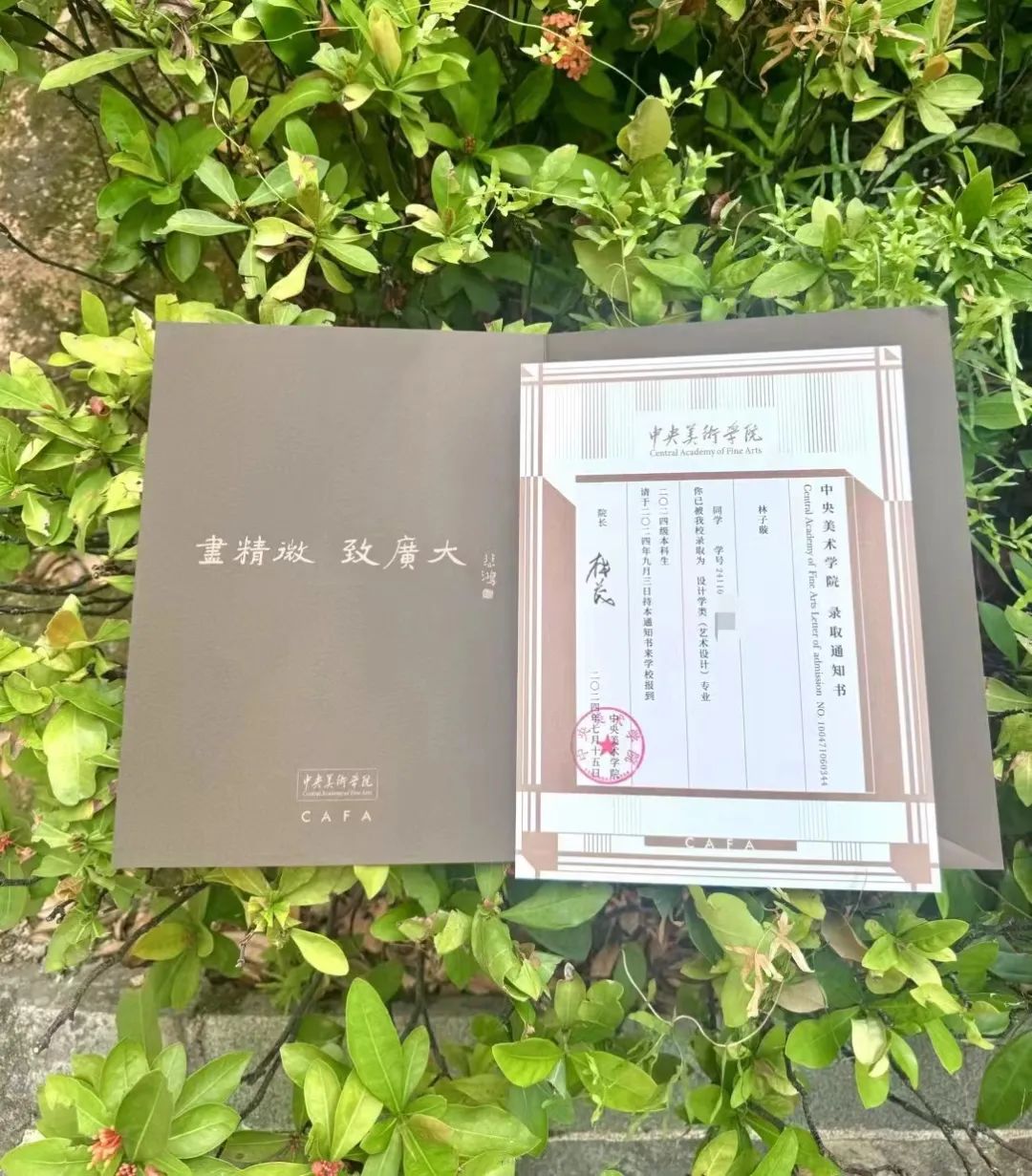 收到高考錄取通知書，這些長樂學子說……