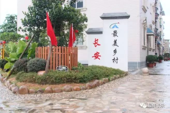 【沙場秋點(diǎn)兵】區(qū)農(nóng)業(yè)農(nóng)村局：擔(dān)當(dāng)實(shí)干 當(dāng)好鄉(xiāng)村振興排頭兵