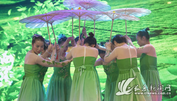 梅花鎮(zhèn)舉辦2019年農(nóng)村社會(huì)工作試點(diǎn)項(xiàng)目匯報(bào)演出
