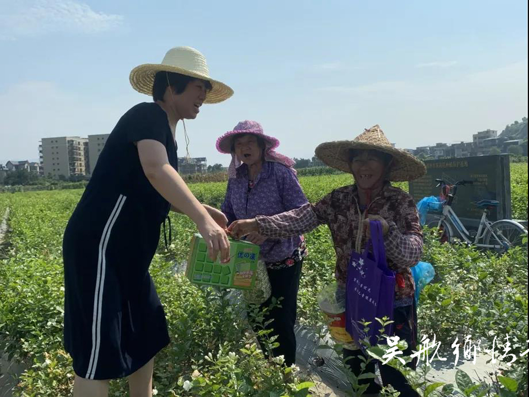 區(qū)婦聯(lián)赴“雙百雙千”重點農(nóng)業(yè)基地走訪慰問