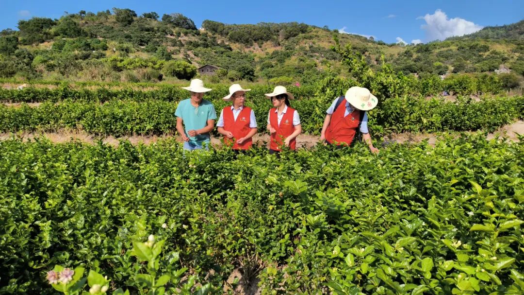 萬名干部下基層：深入田間地頭 破解農(nóng)村金融難題