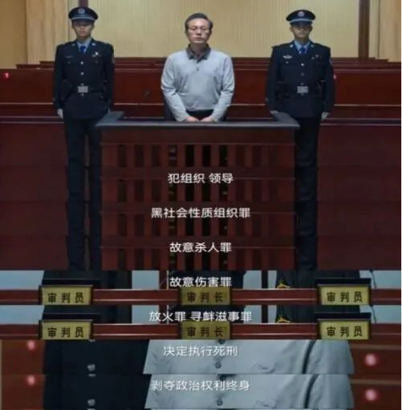 《狂飆》劇終后，來看看《中華人民共和國反有組織犯罪法》