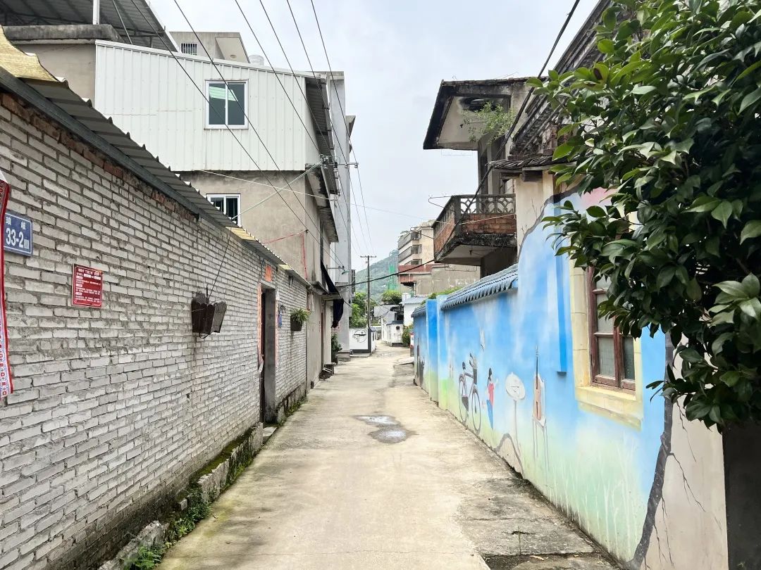 “提靚”家園環(huán)境！這個鄉(xiāng)鎮(zhèn)有一套……