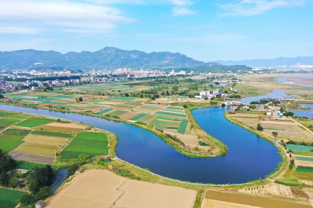 居全省首位！閩江河口濕地走向國際
