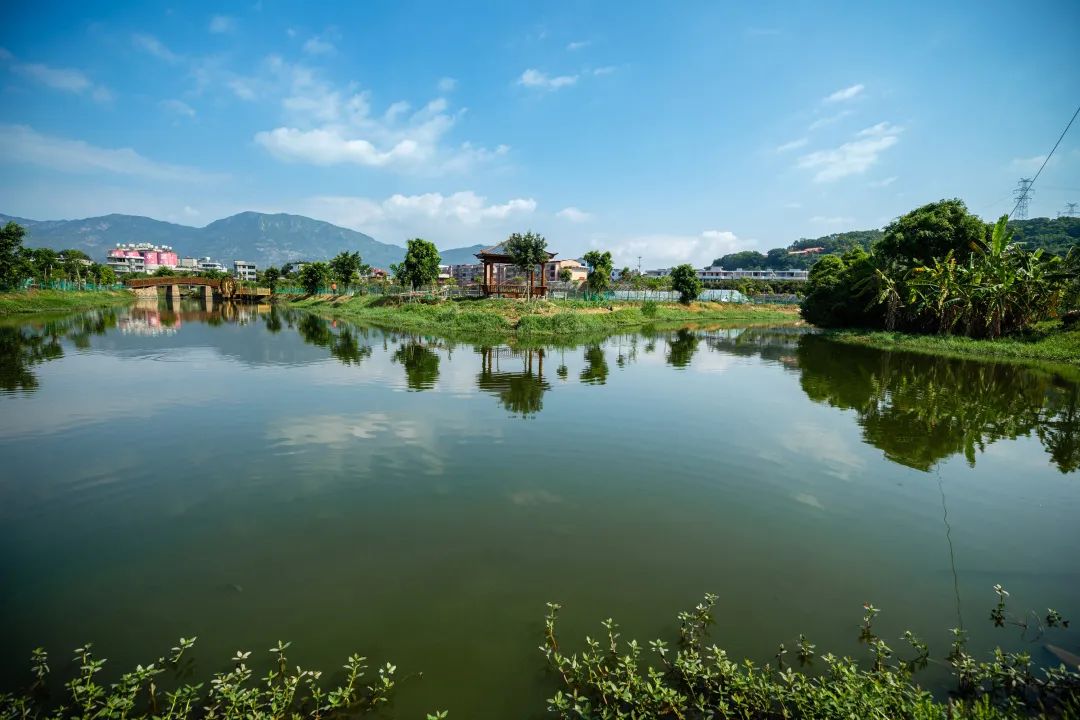 期待！長樂將成立一個“智囊團”～