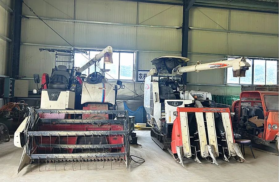 十年磨一劍！長樂這家合作社借“機”致富……