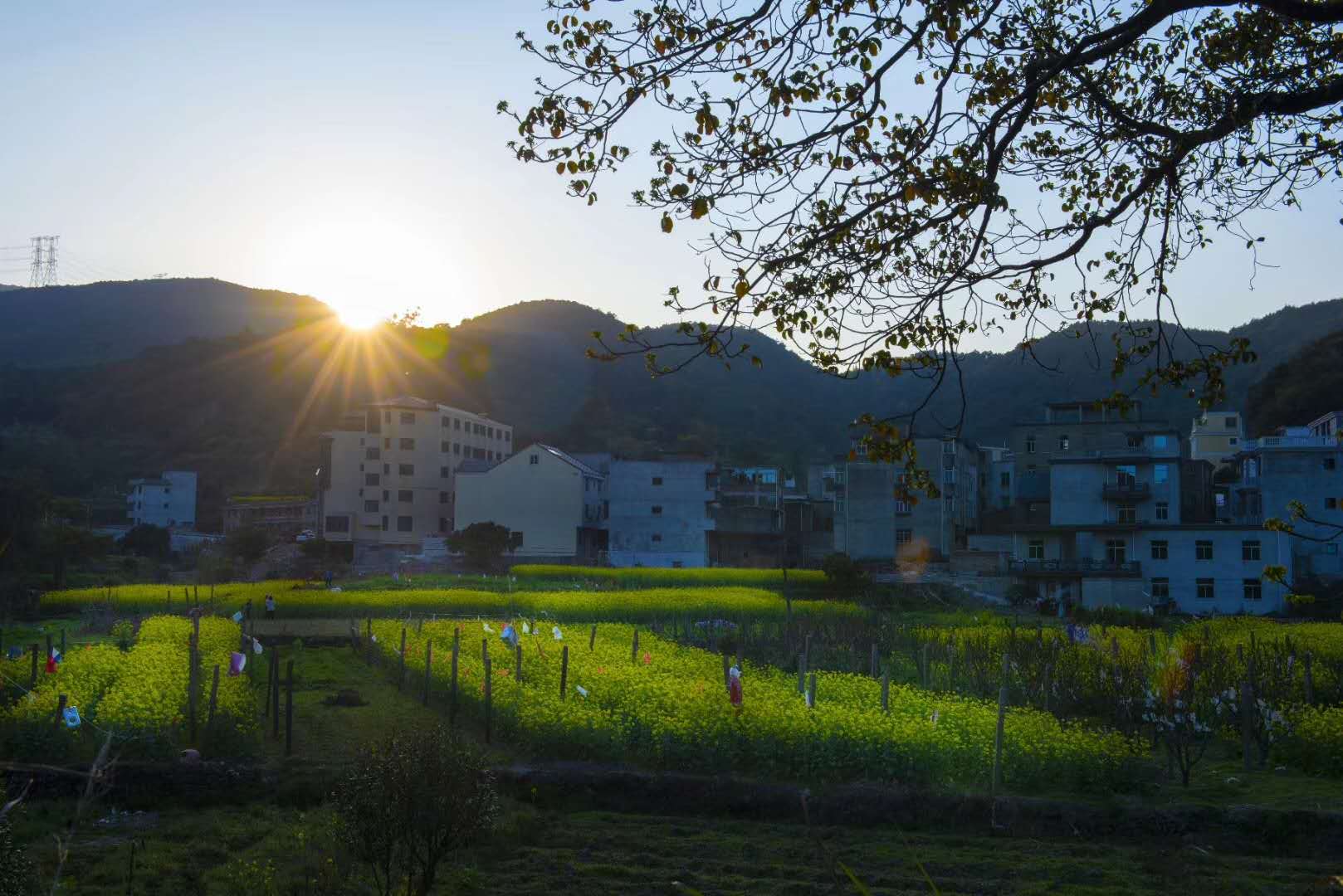 馬臺風情