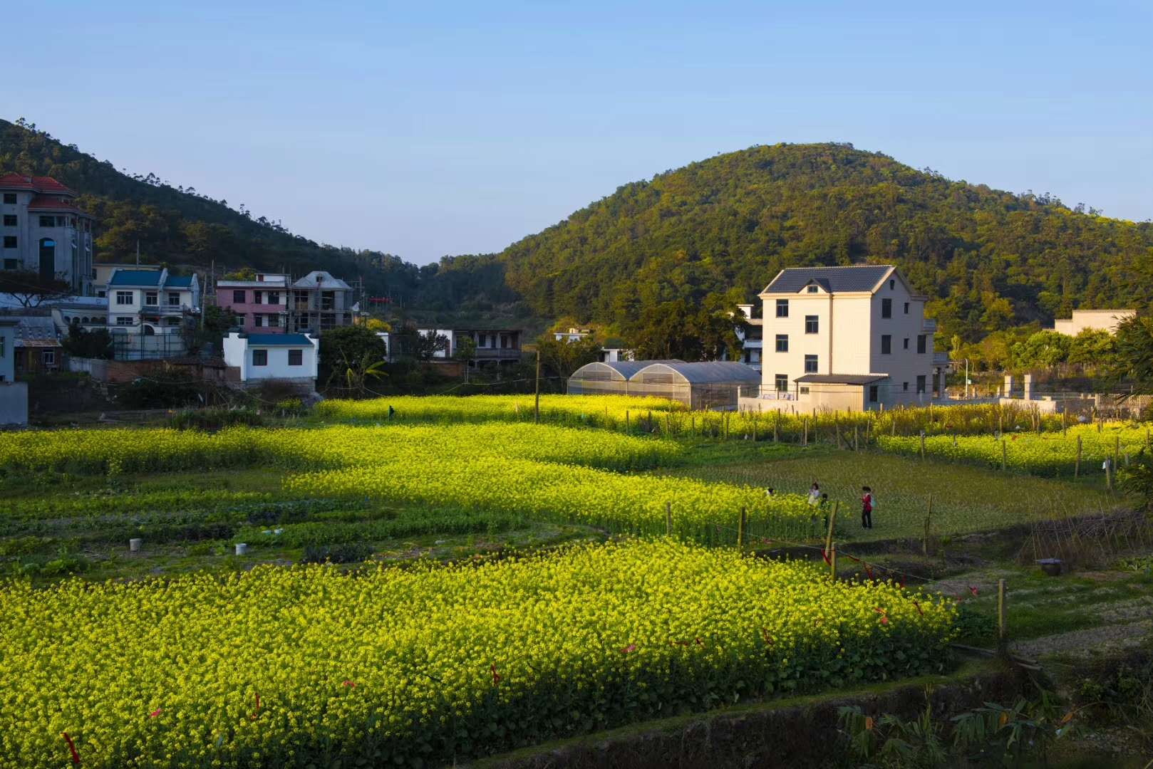 馬臺風情