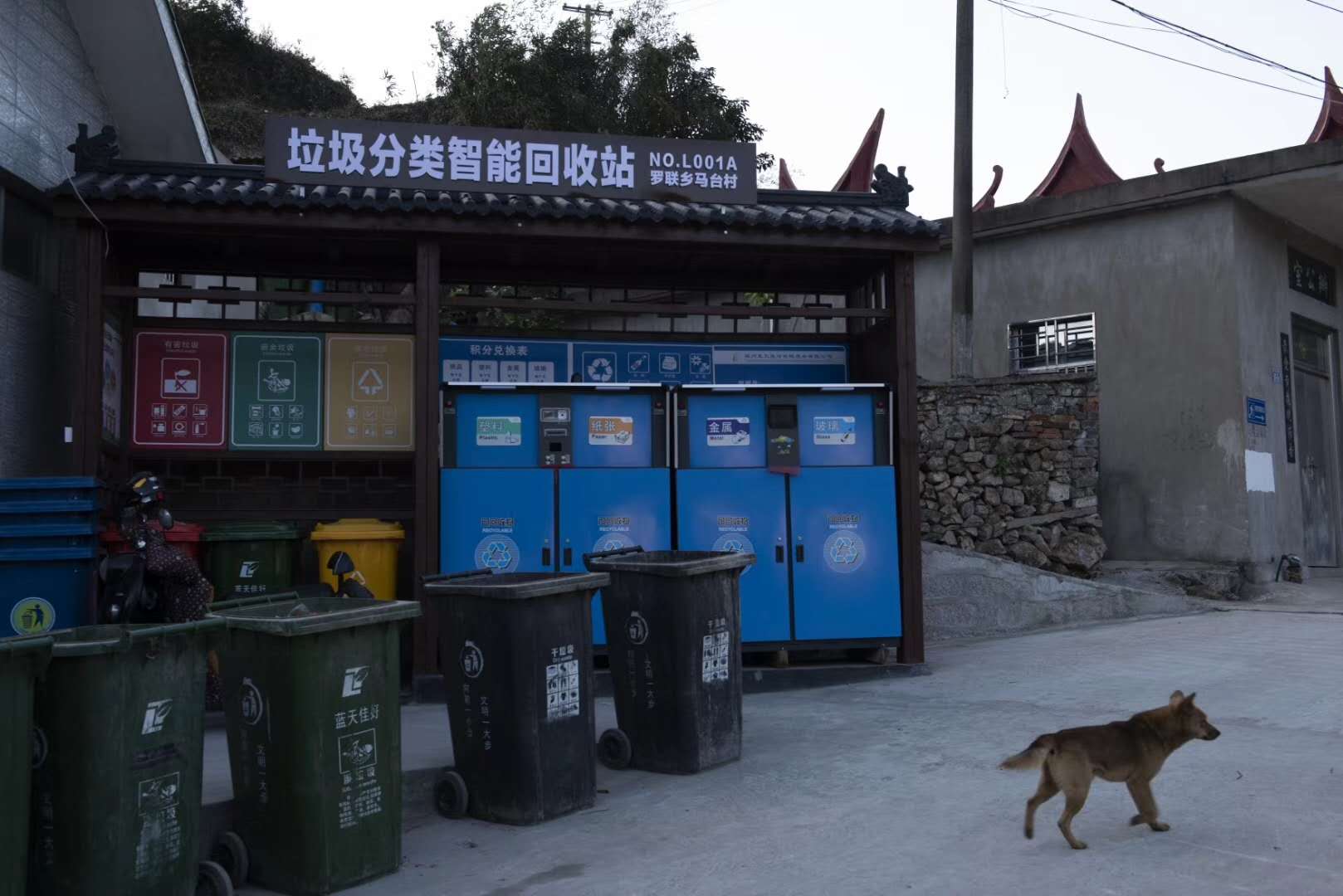 馬臺風情