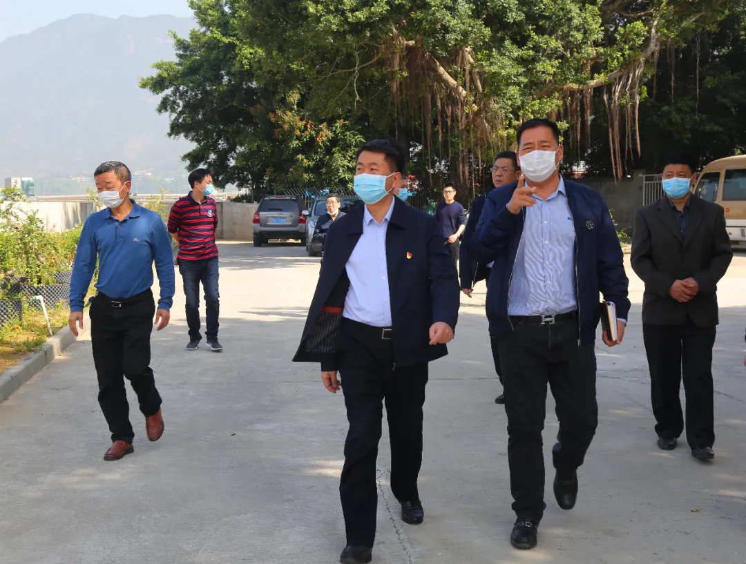 何杰民檢查防汛備汛工作