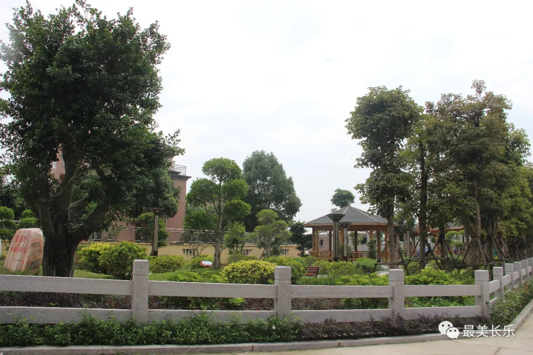 在全區(qū)實(shí)施鄉(xiāng)村振興戰(zhàn)略工作現(xiàn)場(chǎng)會(huì)上，何杰民書記強(qiáng)調(diào)了這些……