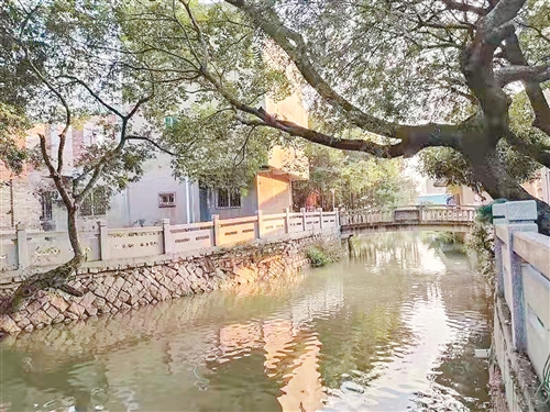 全力打造福州新城區(qū)、副中心 加快建設(shè)現(xiàn)代化國(guó)際城市的重要窗口