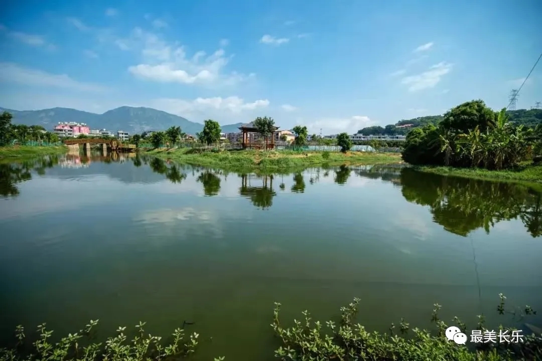 干貨滿滿！今天這場新聞發(fā)布會(huì)事關(guān)……