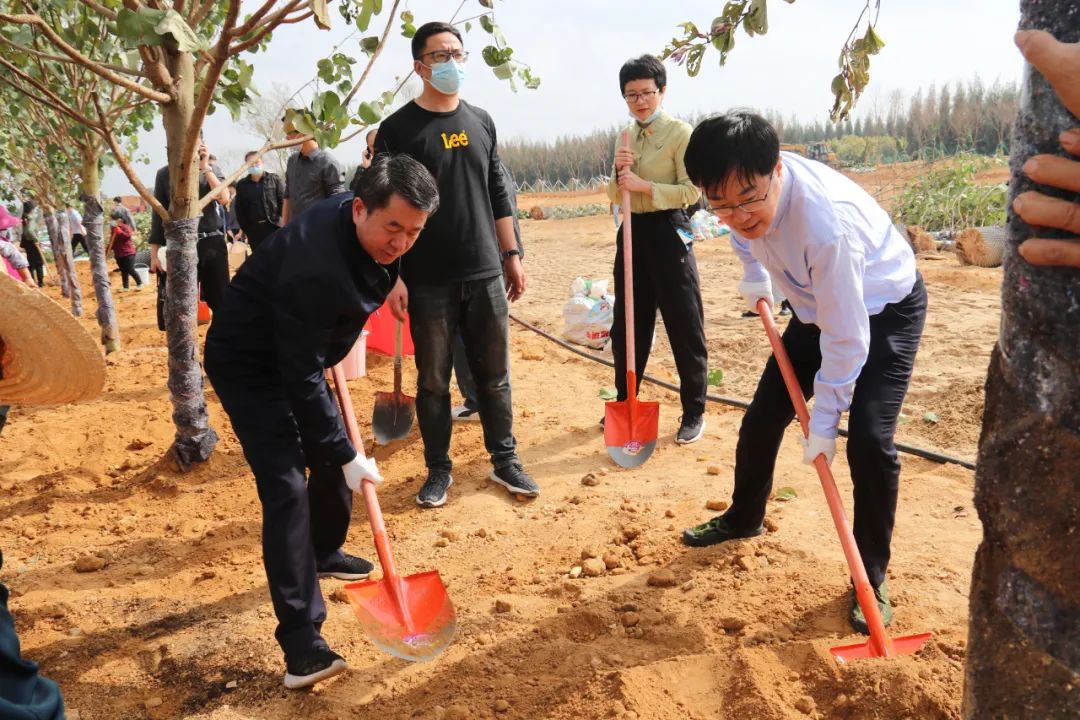 第三個“一百米”！我區(qū)開展沿海防護林植樹活動