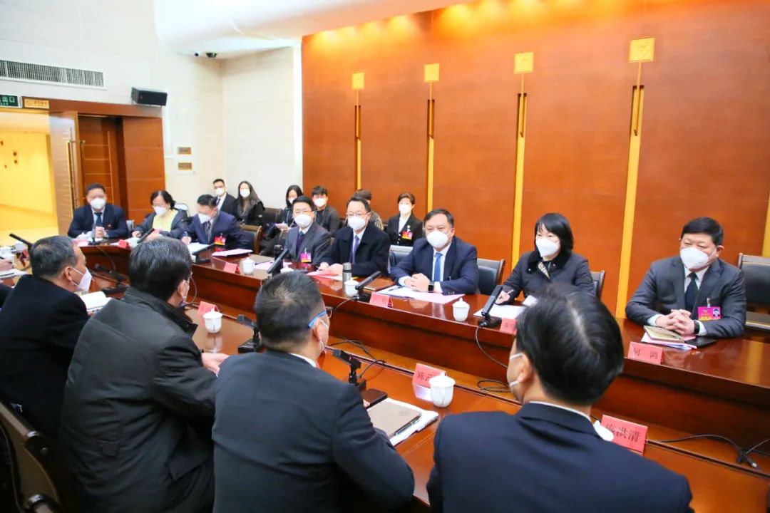 張帆看望港澳委員、代表及華僑華人代表并參加討論