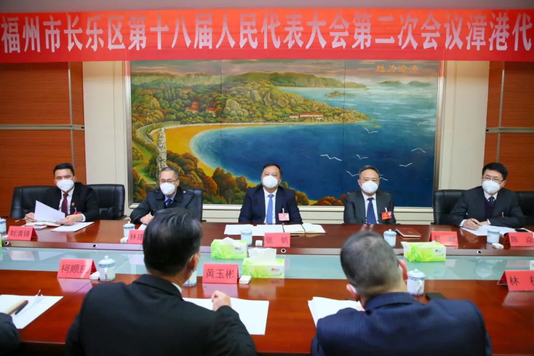 張帆看望文武砂、漳港代表團(tuán)人大代表并參加討論