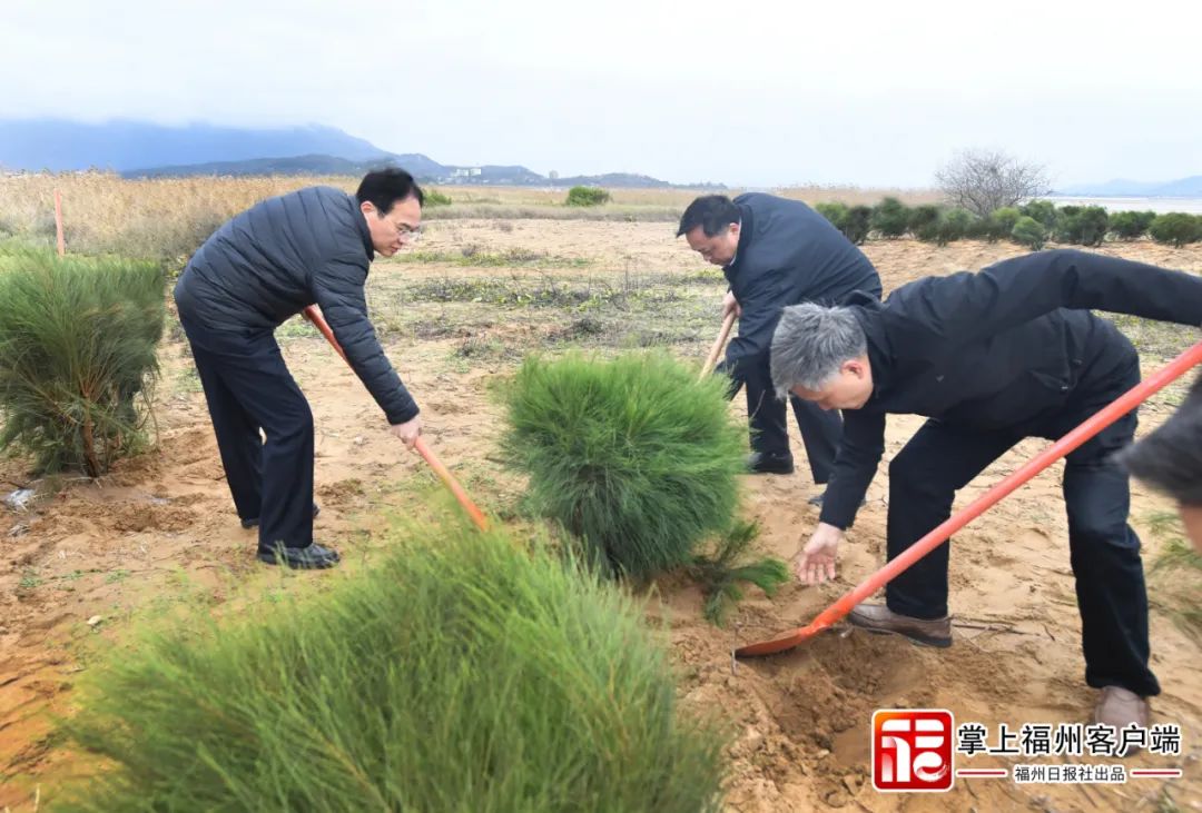 全力打造！福州這里要成為國際知名濱海旅游勝地！