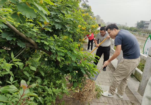 水更清，景更美！長(zhǎng)樂(lè)加快全域水系綜合治理，做活“水文章”！