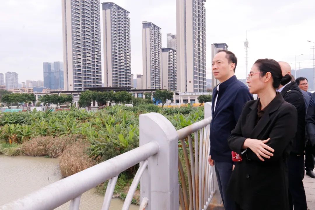 區(qū)領(lǐng)導(dǎo)開展“河長日”活動暨調(diào)研洞江湖公園周邊規(guī)劃建設(shè)情況