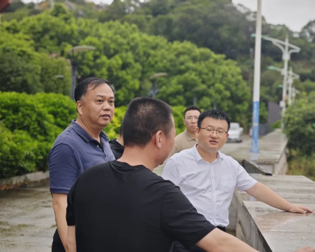 靠前指揮，全速推進！張帆帶隊檢查防汛抗臺工作