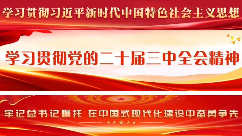 張帆參加所在黨支部主題黨日活動(dòng)