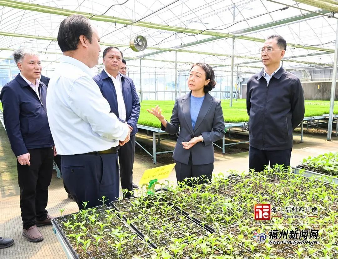 郭寧寧吳賢德赴長(zhǎng)樂(lè)區(qū)調(diào)研春耕生產(chǎn)和農(nóng)業(yè)產(chǎn)業(yè)發(fā)展