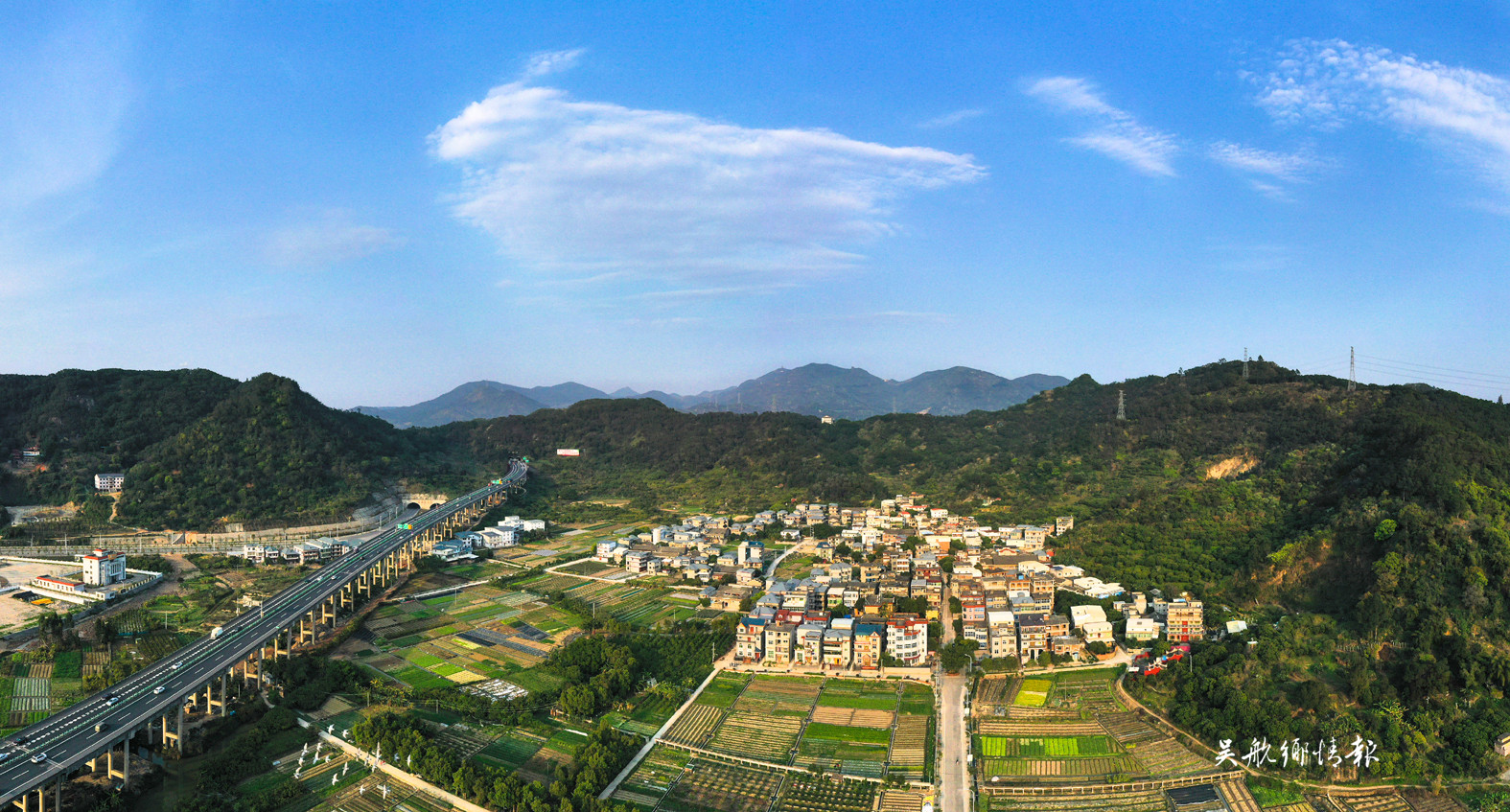 營前街道：立足特色優(yōu)勢 推進鄉(xiāng)村振興