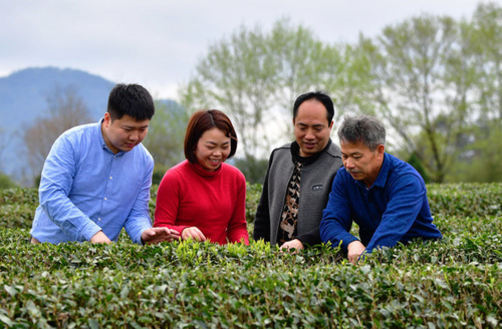 八閩巨變70年｜南平蛻變：奏響綠色發(fā)展主旋律