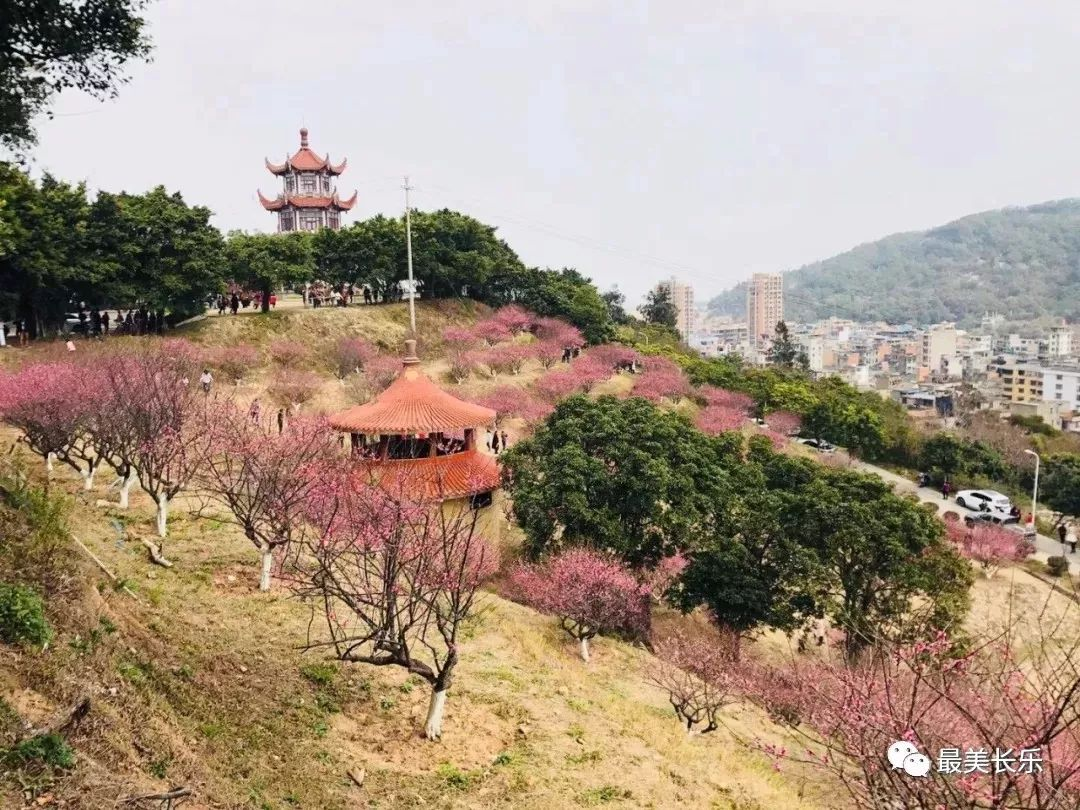又一場(chǎng)“戰(zhàn)役”的號(hào)角即將吹響——美麗長(zhǎng)樂大行動(dòng)！