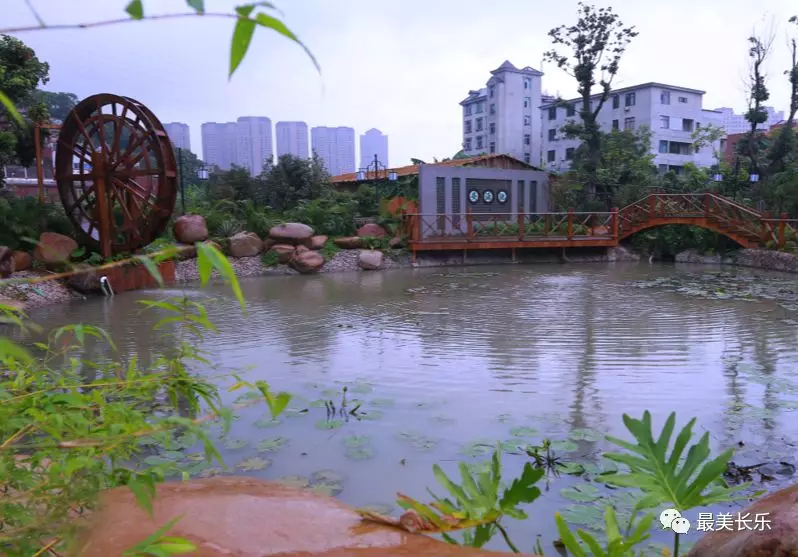 又一場(chǎng)“戰(zhàn)役”的號(hào)角即將吹響——美麗長(zhǎng)樂大行動(dòng)！