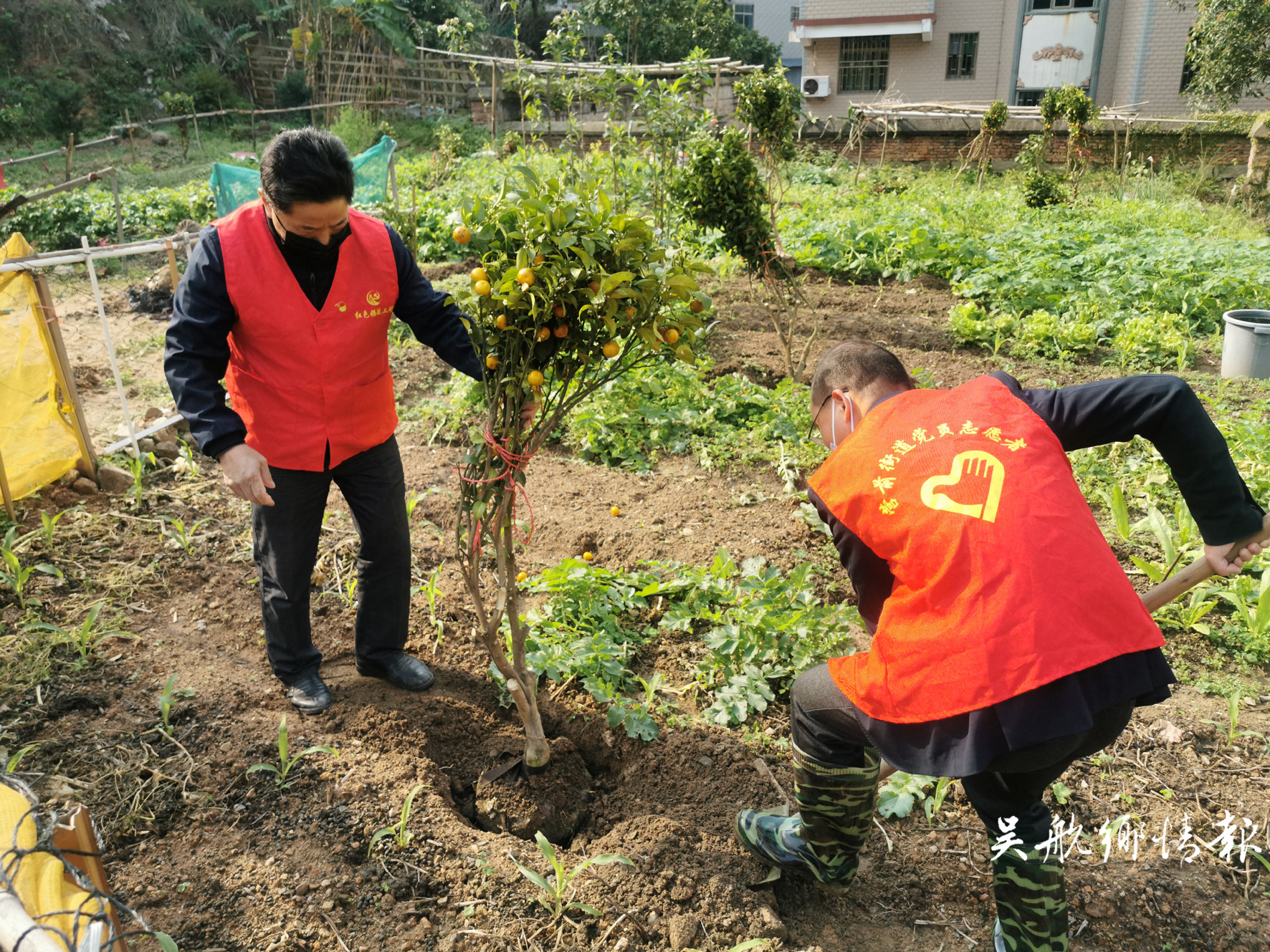 不負春光植樹忙 他們?yōu)殚L樂增添更多綠！