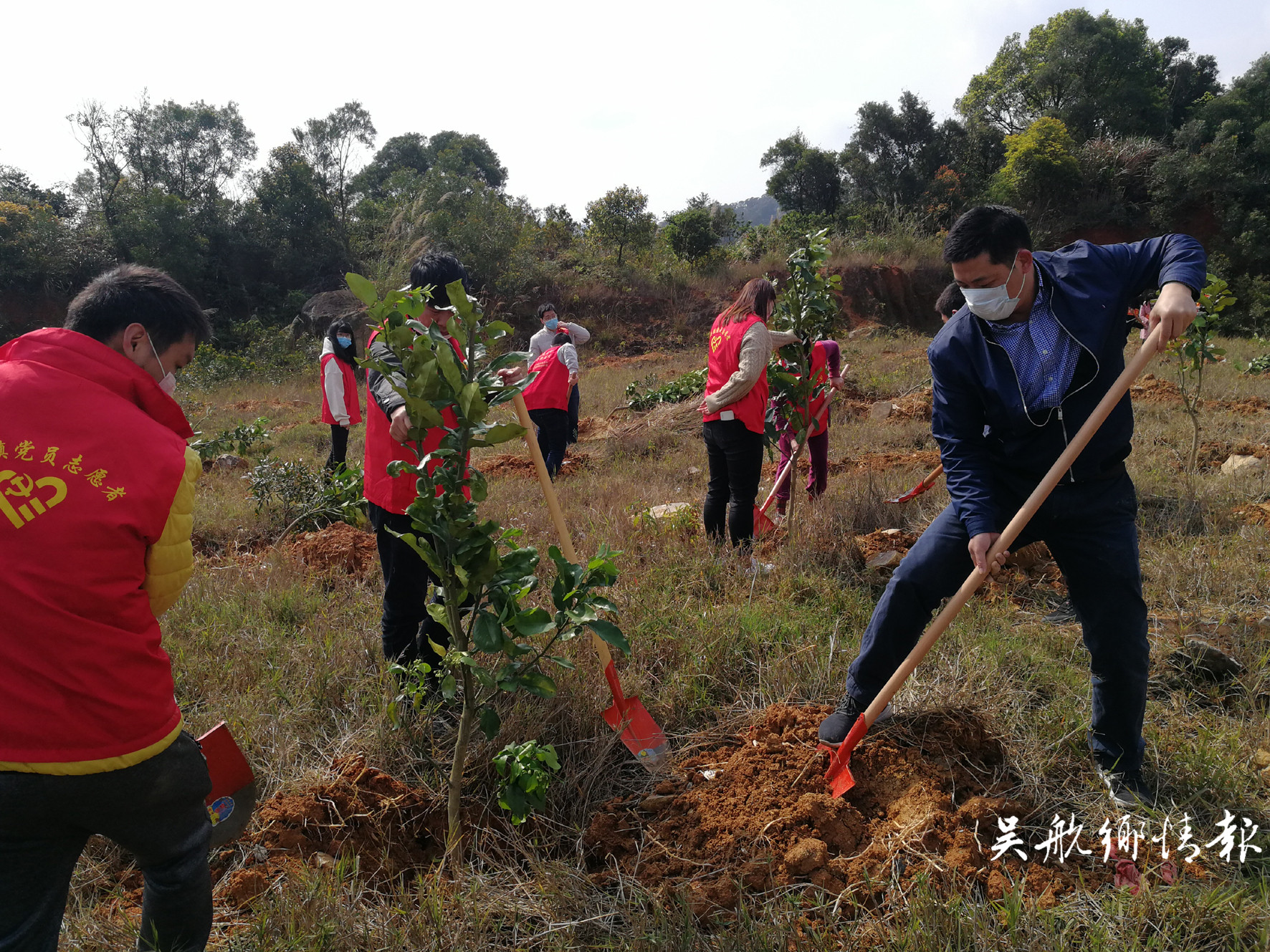 不負春光植樹忙 他們?yōu)殚L樂增添更多綠！