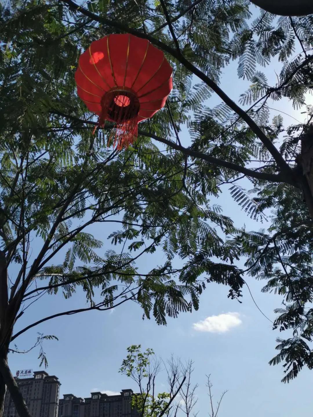 靚麗！長樂人民公園綠色惹人醉