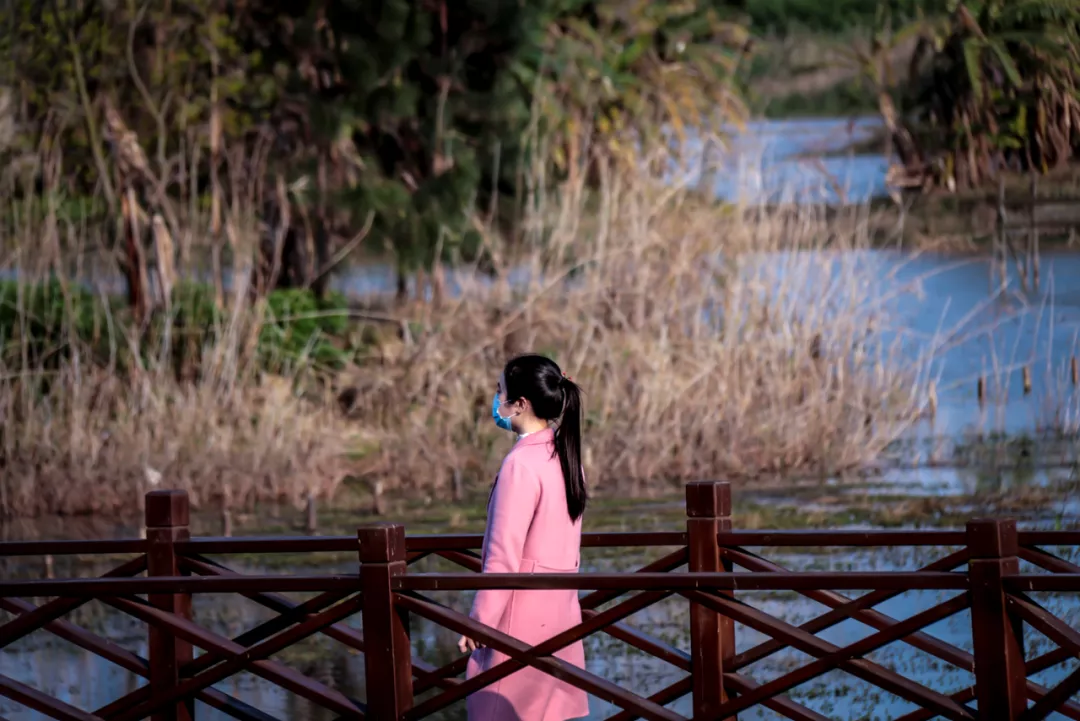 大自然的饋贈(zèng)，閩江河口國(guó)家濕地公園美如畫(huà)！