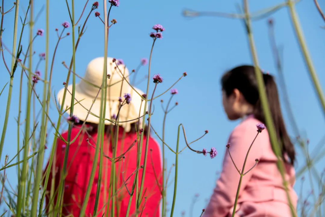 大自然的饋贈(zèng)，閩江河口國(guó)家濕地公園美如畫(huà)！
