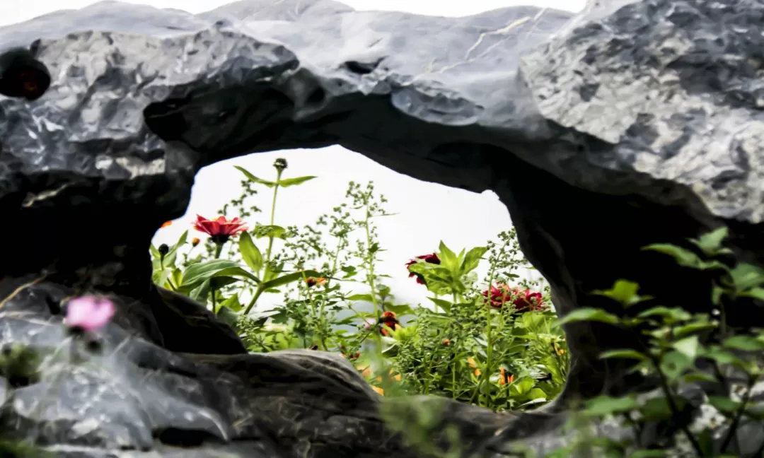大自然的饋贈(zèng)，閩江河口國(guó)家濕地公園美如畫(huà)！