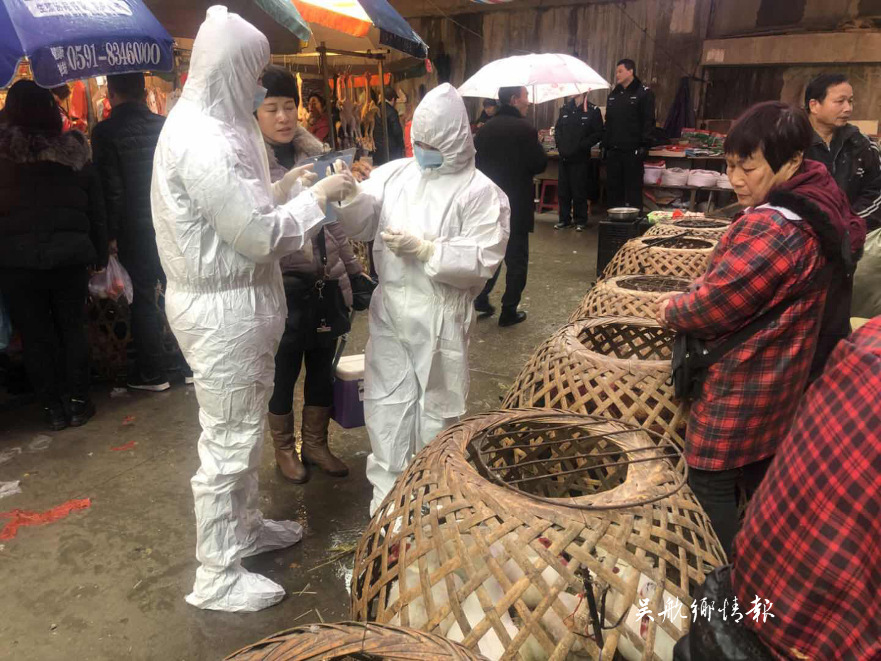 我區(qū)重大動(dòng)物疫病防控工作進(jìn)展順利