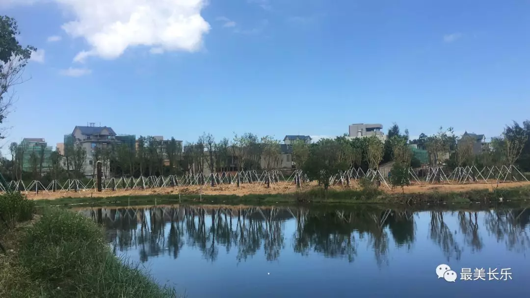 【抓項(xiàng)目 促發(fā)展】機(jī)場(chǎng)高速（長樂段）林蔭大道建設(shè)項(xiàng)目進(jìn)展順利，預(yù)計(jì)國慶前全面完成！