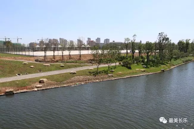 濱海體育公園預(yù)計年底竣工投用！市民休閑又多了一個好去處！