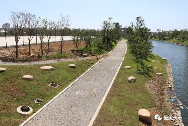 濱海體育公園預(yù)計年底竣工投用！市民休閑又多了一個好去處！