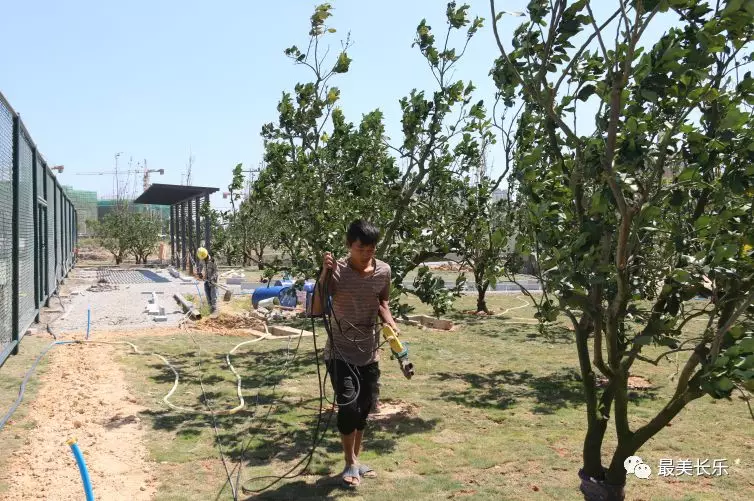 濱海體育公園預(yù)計年底竣工投用！市民休閑又多了一個好去處！