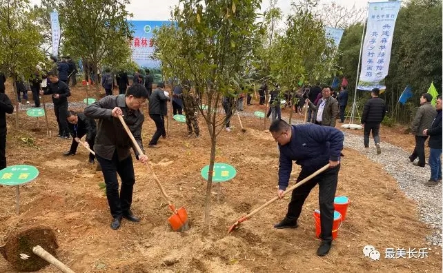 驕傲！我區(qū)這個(gè)村獲得“國(guó)家森林鄉(xiāng)村創(chuàng)建工作樣板村”榮譽(yù)