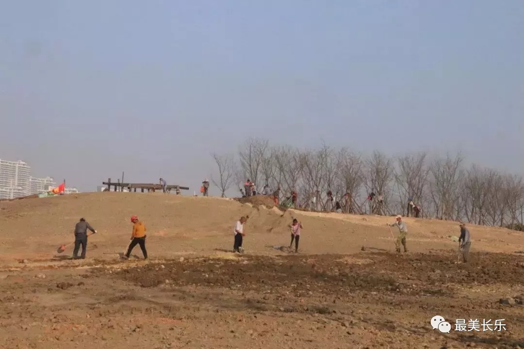 綠意滿滿！東湖濕地公園植樹添新綠！
