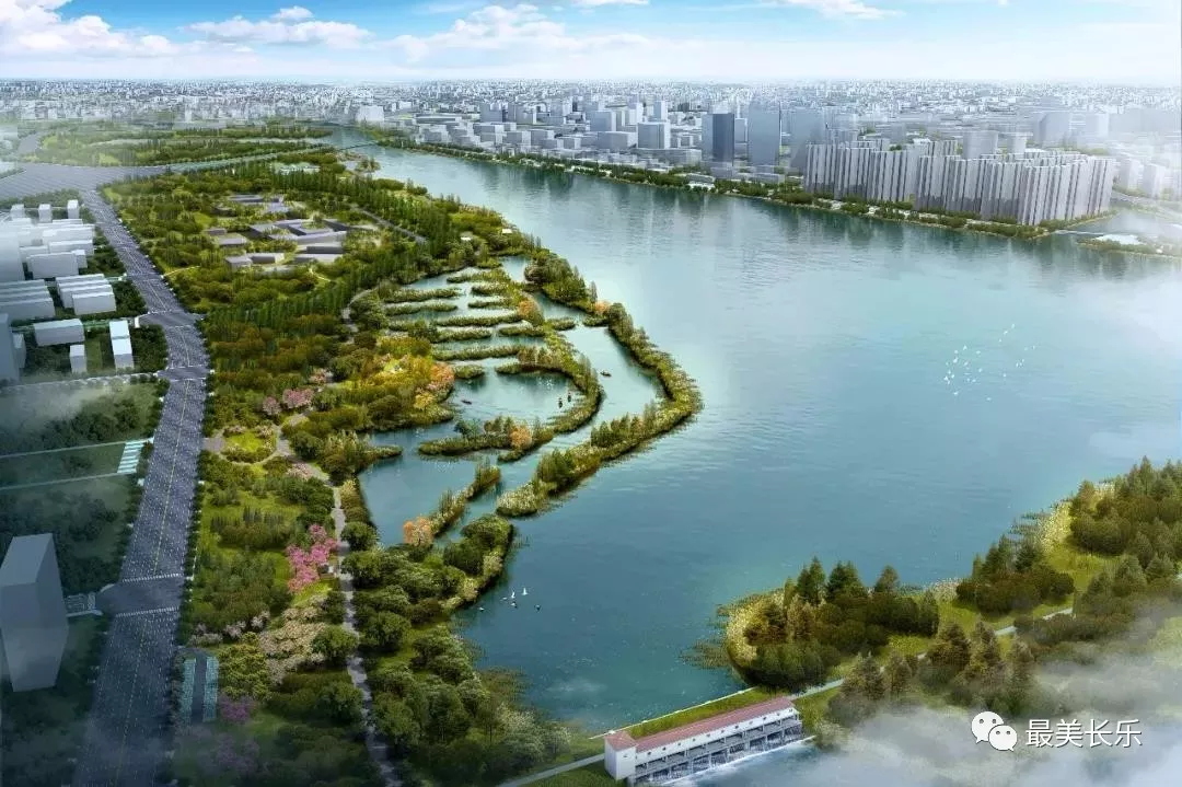 綠意滿滿！東湖濕地公園植樹添新綠！