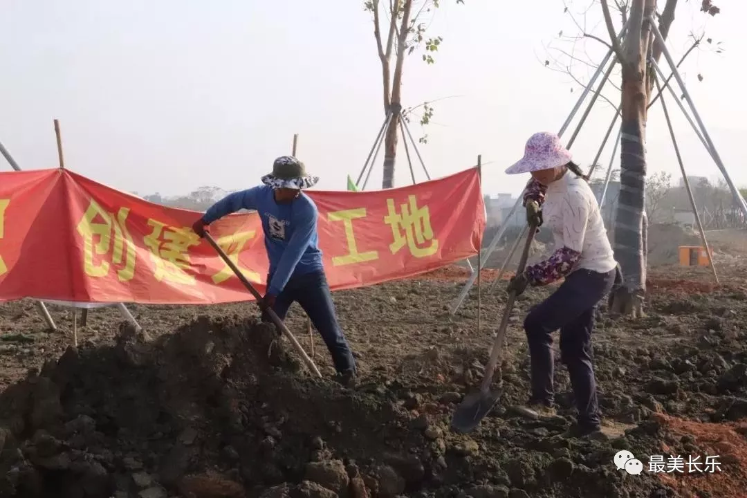 綠意滿滿！東湖濕地公園植樹添新綠！
