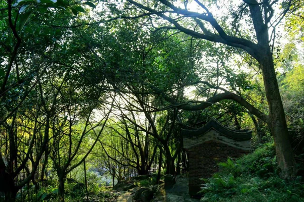 【網(wǎng)絡(luò)述年】長(zhǎng)樂有這樣一個(gè)地方，熟悉的風(fēng)景，承載了多少人的回憶！