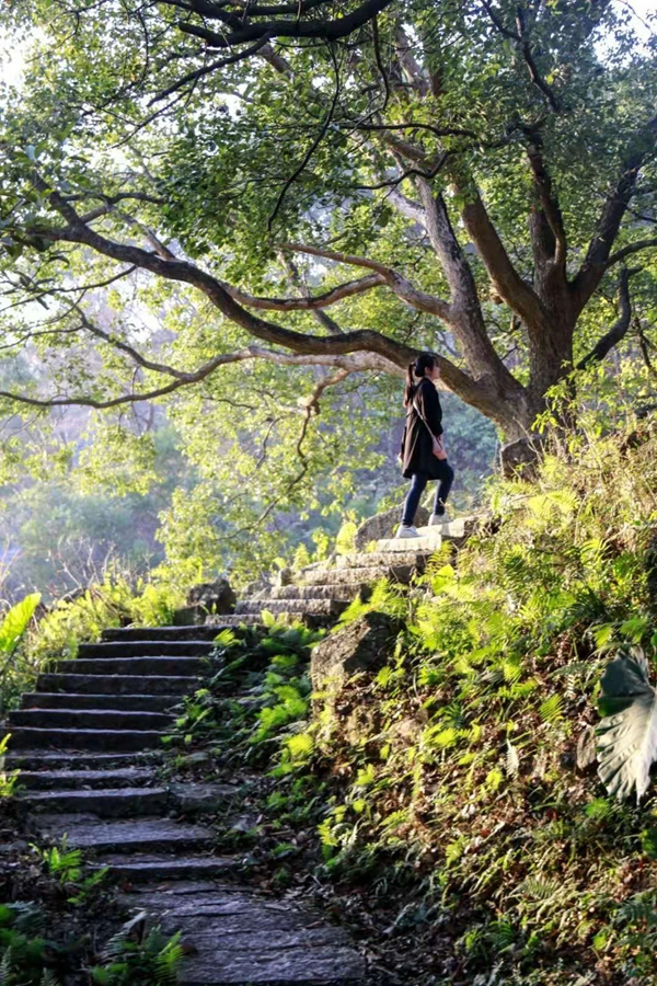 【網(wǎng)絡(luò)述年】長(zhǎng)樂有這樣一個(gè)地方，熟悉的風(fēng)景，承載了多少人的回憶！