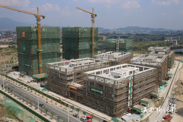 砥礪奮進(jìn)共追夢(mèng) 蹄疾步穩(wěn)謀新篇