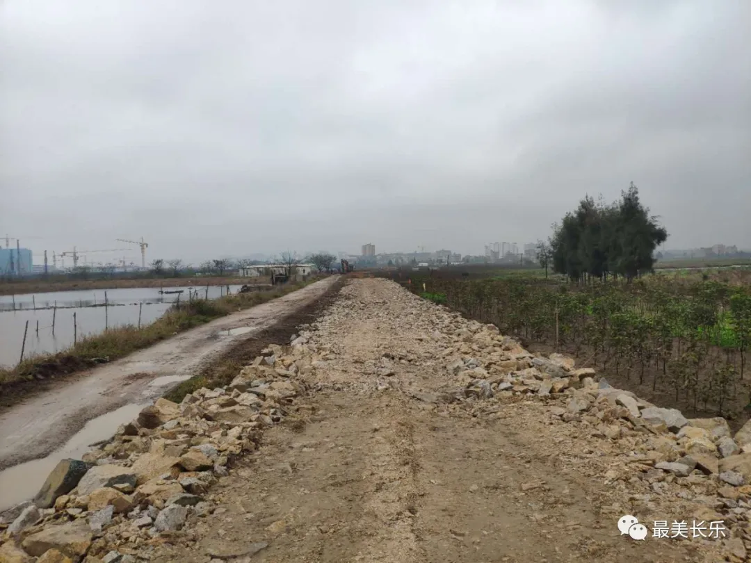 好消息！濱海新城高速公路地鐵代建段控制性工程征遷工作取得新進展