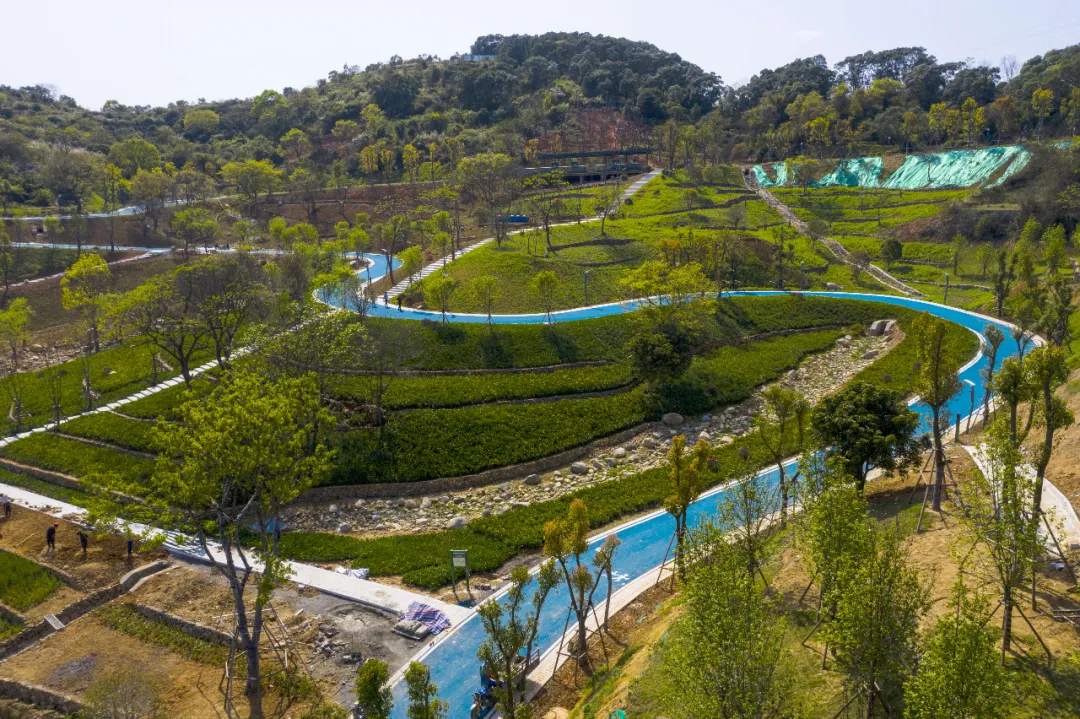“高顏值”步道、山野情趣、天然氧吧……相約五月來長(zhǎng)樂這座公園攬城觀景吧！